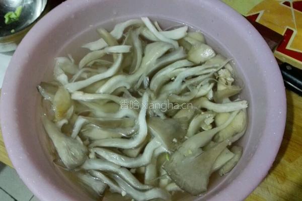 平菇炒火腿的做法图解1