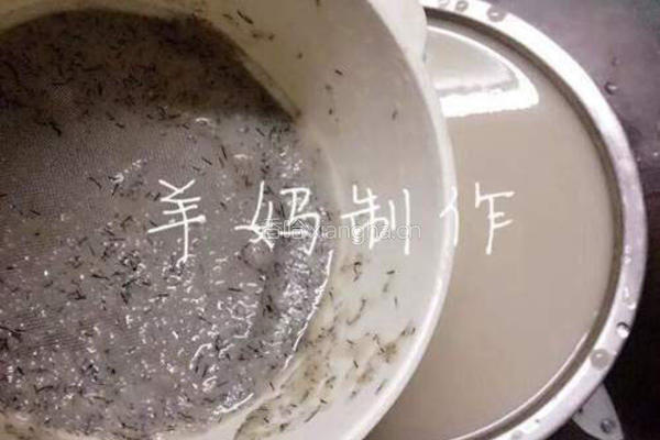 Q弹爽口的猪皮冻的做法图解7