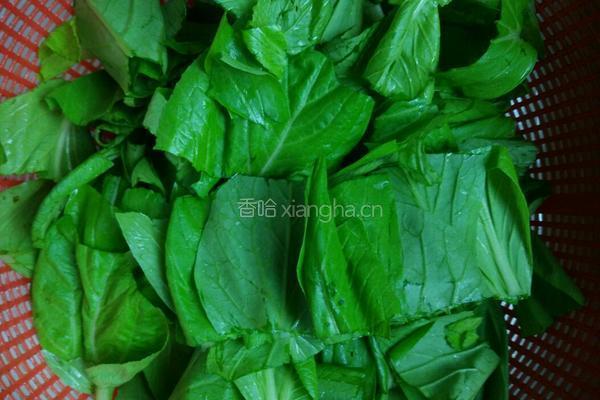 蘑菇炒小白菜的做法图解4