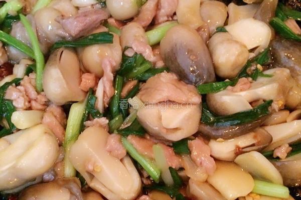 酱香草菇的做法图解6