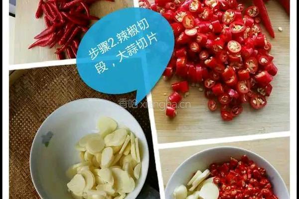 酱黄瓜的做法图解4