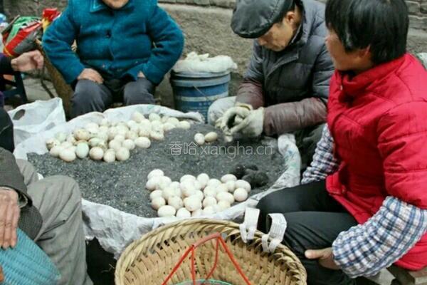 四川松花皮蛋的做法图解2