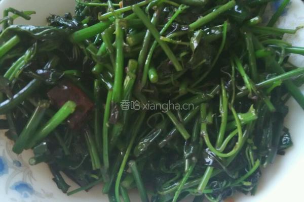 炒苦刺尖的做法图解4