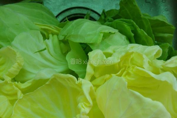 炒手撕包菜的做法图解1