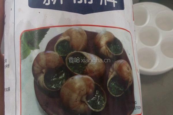 法式焗蜗牛的做法图解8
