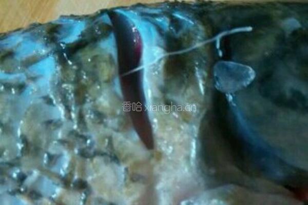 红烧鱼块的做法图解2