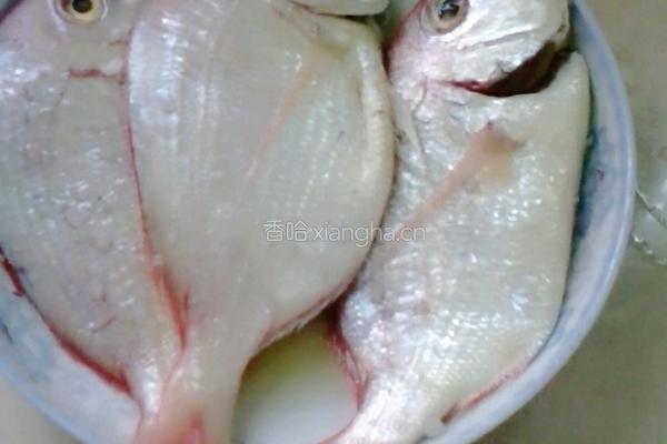 香煎黄立鱼的做法图解2
