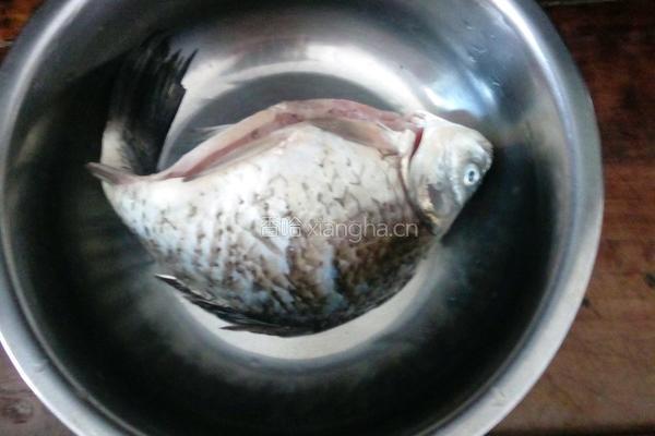 鲫鱼豆腐汤的做法图解2