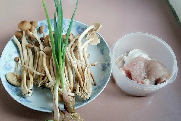 茶树菇炒肉的做法图解1