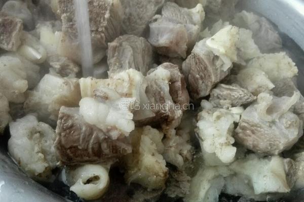 红烧牛肉的做法图解4