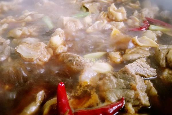红烧牛肉的做法图解8