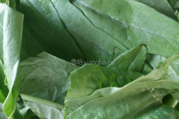豆豉鲮鱼油麦菜的做法图解1