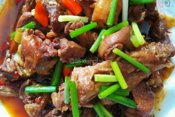 泡椒啤酒鸭的做法图解8