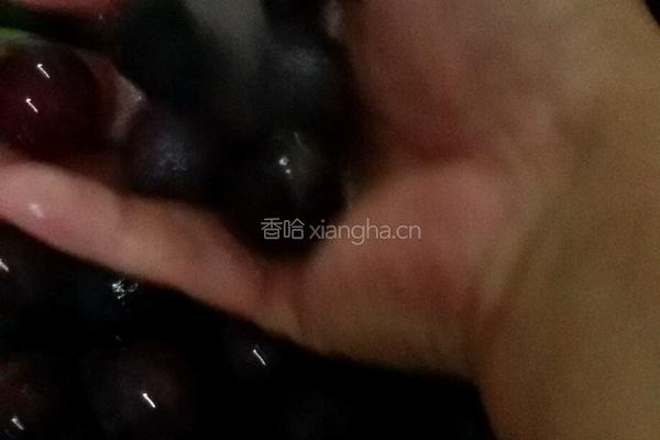 自制葡萄酒的做法图解4