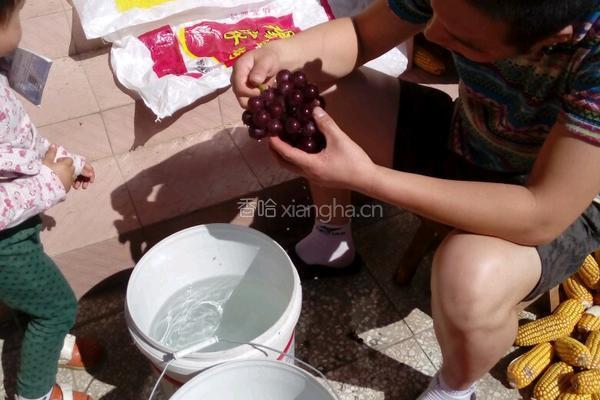 自酿葡萄酒的做法图解2