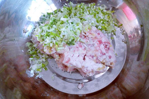 苦苦菜饺子的做法图解6