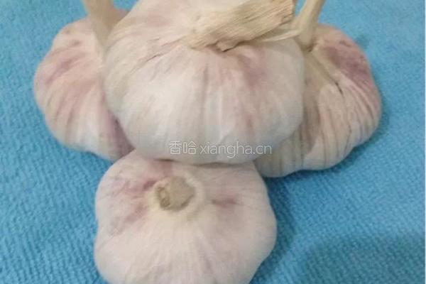 手工辣椒酱的做法图解2