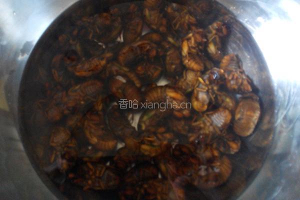 油炸知了猴的做法图解1