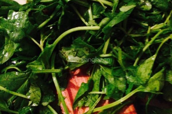 冬瓜乌贼菠菜烩的做法图解6