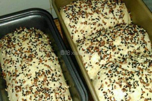 全麦亚麻籽吐司面包的做法图解8
