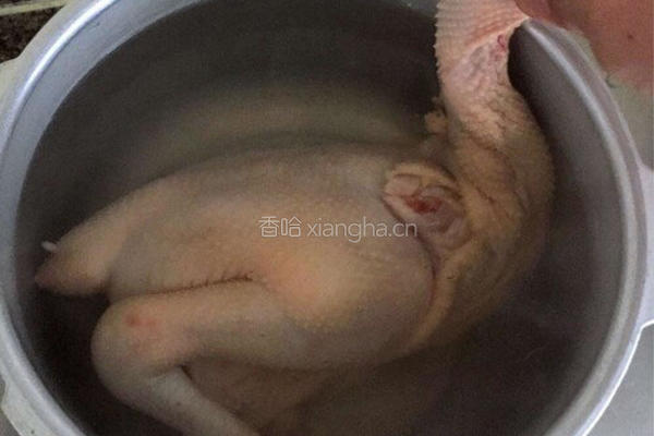 白切鸡的做法图解3