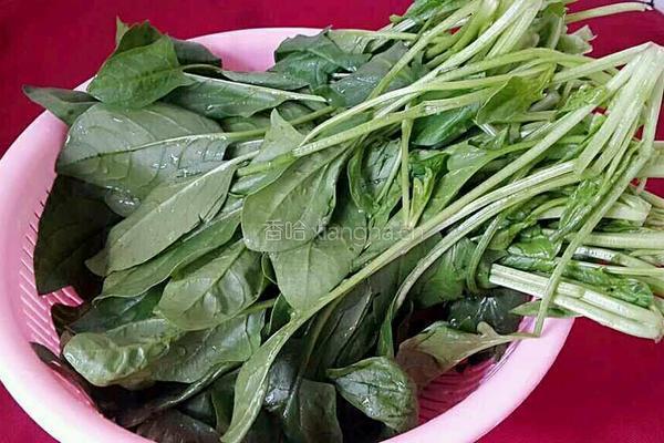 芝麻酱拌菠菜的做法图解1