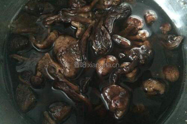 榛蘑清炖小笨鸡的做法图解6