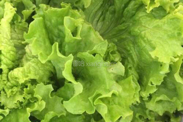简单版烤肉的做法图解3