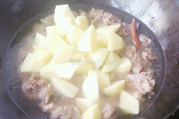 牛肉炖土豆的做法图解4