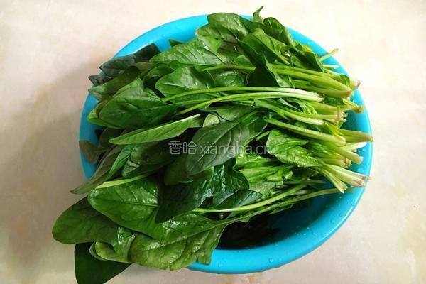 花生米拌菠菜的做法图解1