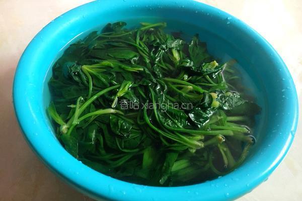花生米拌菠菜的做法图解5
