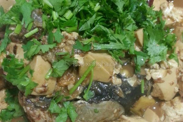 草鱼炖豆腐的做法图解8