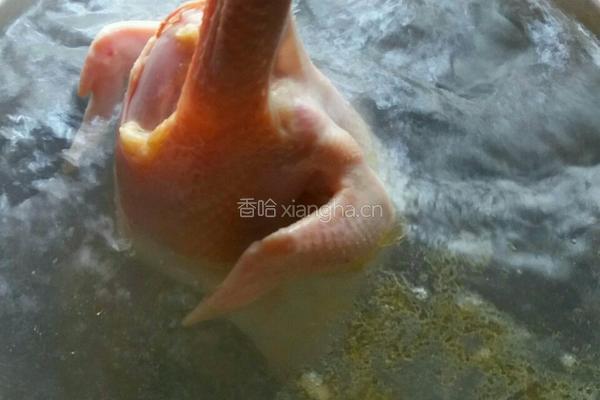 鸡火参杞汤的做法图解3