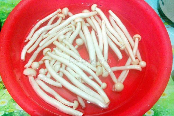 芥菜鲜菇汤的做法图解2