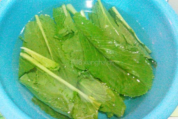 芥菜鲜菇汤的做法图解3