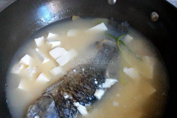 鲫鱼豆腐汤的做法图解4