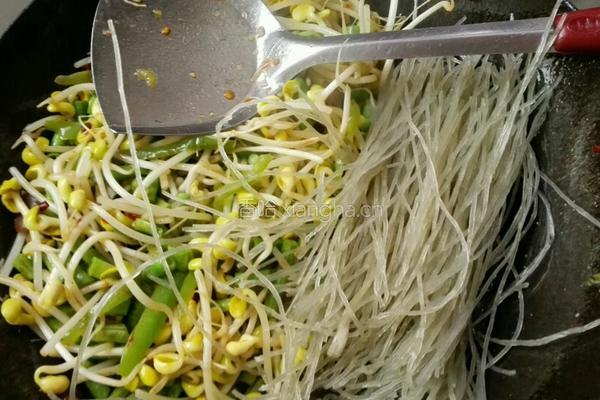 黄豆芽炖粉条的做法图解7