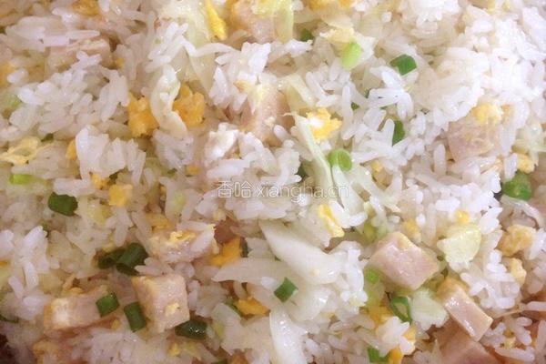 潮汕肉饼炒饭的做法图解9