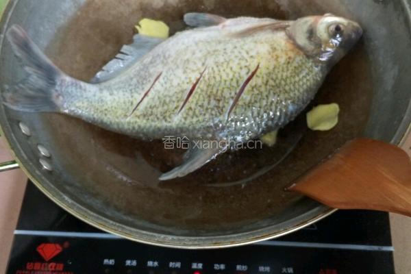 豆腐鱼汤的做法图解3