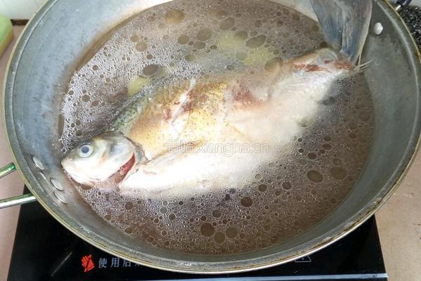 豆腐鱼汤的做法图解4