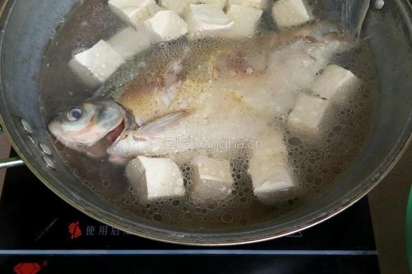 豆腐鱼汤的做法图解5