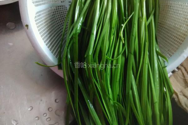 韭菜鸡蛋馅饺子的做法图解2