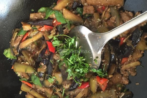 肉末茄条的做法图解14