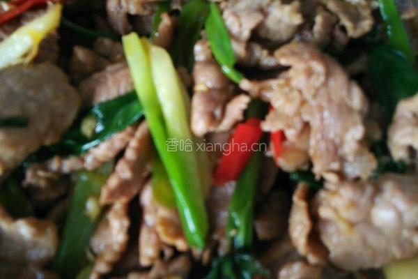 葱姜炒肉的做法图解8