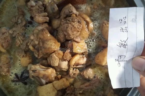 缅甸香草啤酒鸭的做法图解4