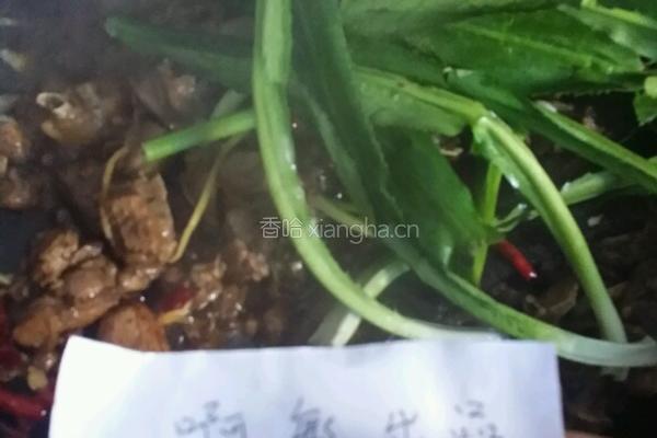 缅甸香草啤酒鸭的做法图解9