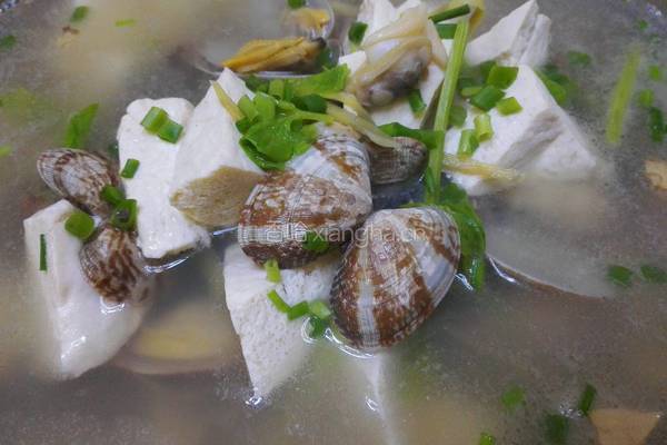 花蛤豆腐汤的做法图解13