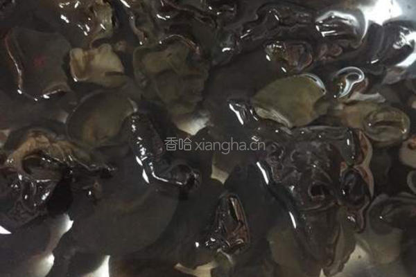 素炒茭白的做法图解1
