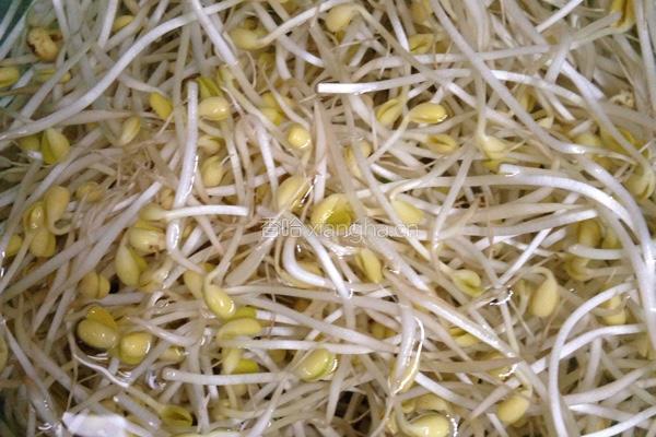 豆芽炒肉片的做法图解1