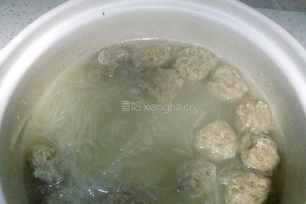 萝卜肉丸粉丝烫的做法图解8